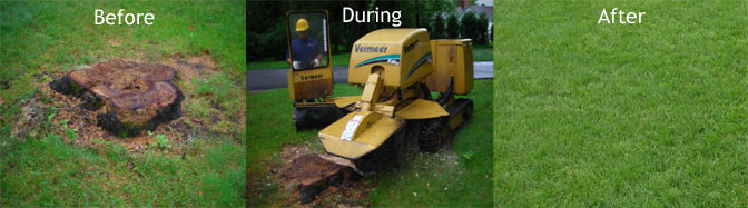 Stump Grinding