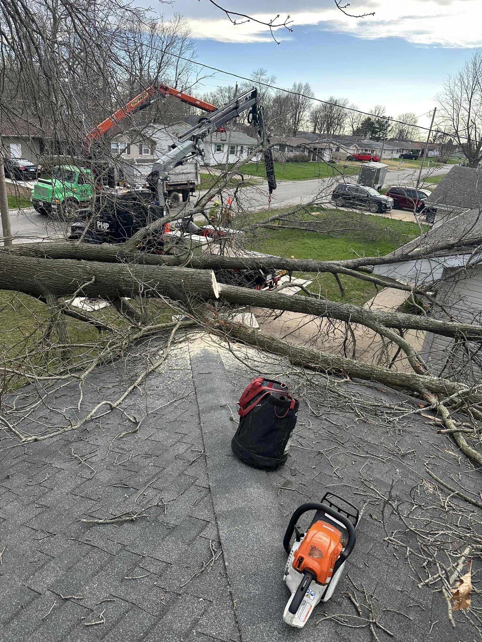 Emergency Tree Removal Service