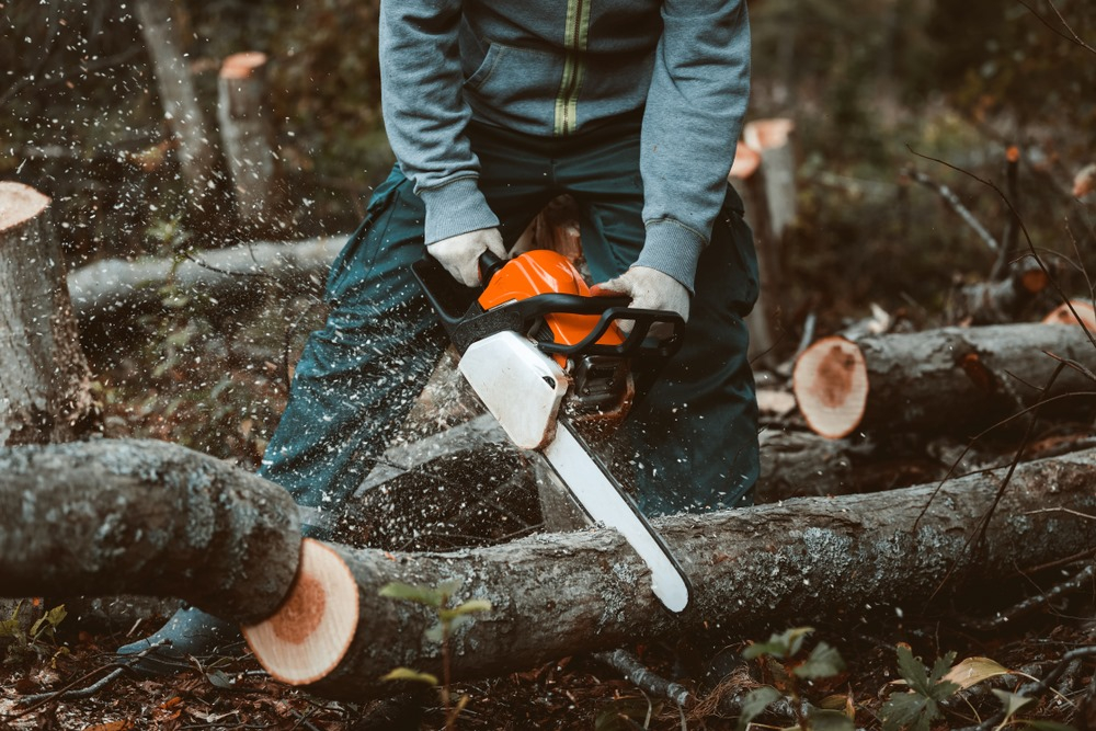 Emergency Tree Remover