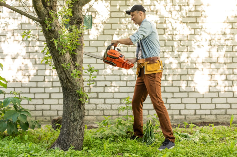 Read more about the article How to Stay Safe When Removing Trees on Your Own in Richmond, VA