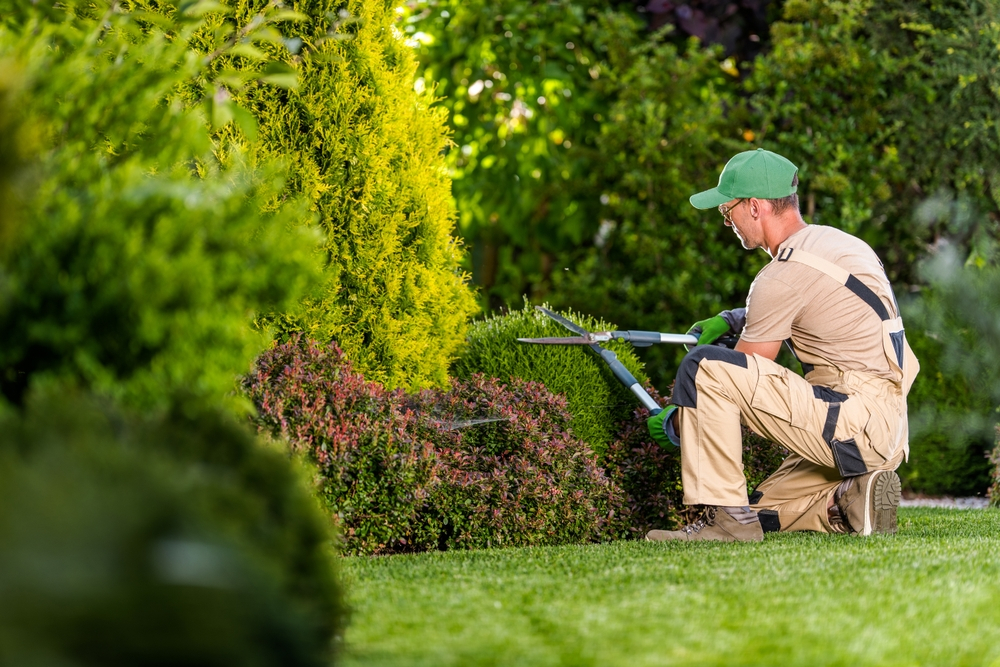 tree cutting safety risks