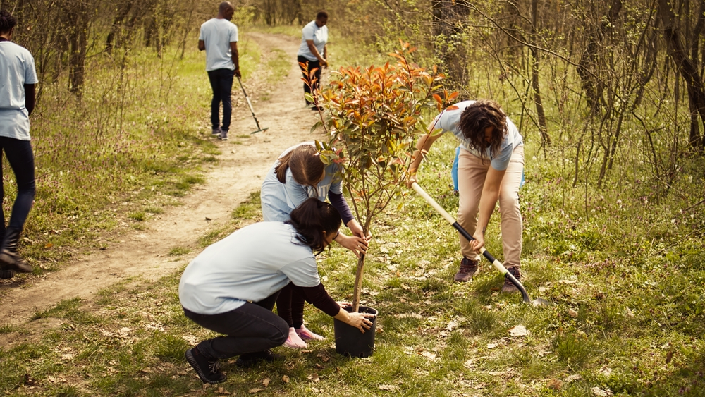 tree trimming services