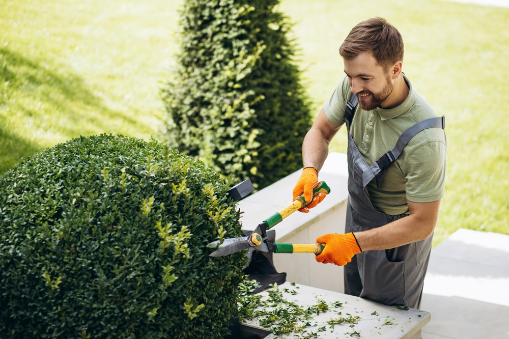 Professional Tree Trimming Service