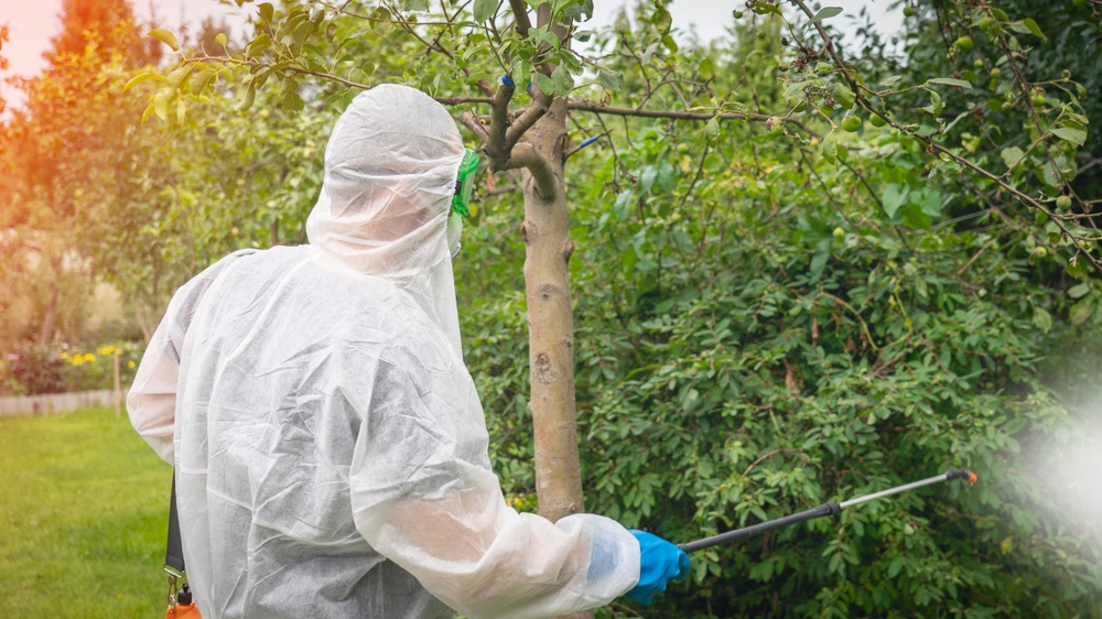 You are currently viewing How to Maintain Tree Health and Prevent Issues in Richmond, VA