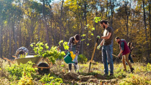 Read more about the article Benefits of Planting Trees in Richmond, VA