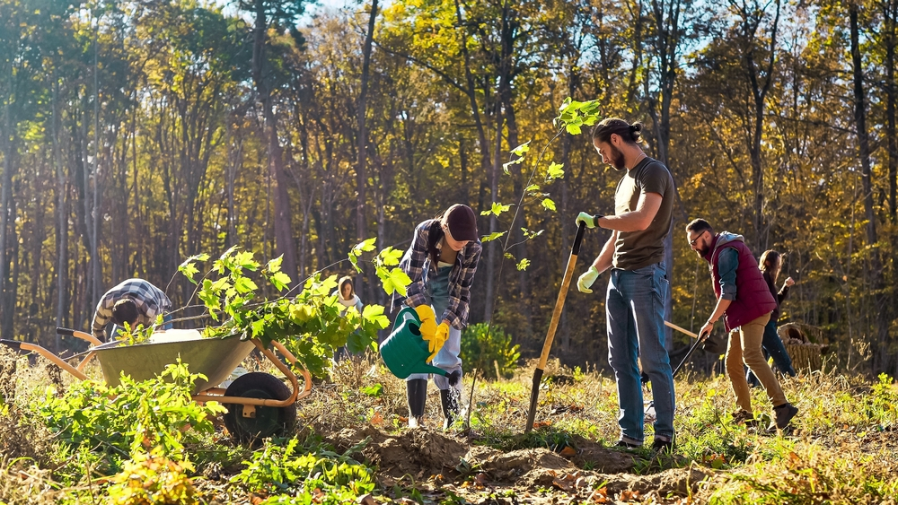 Tree Planting In My Area