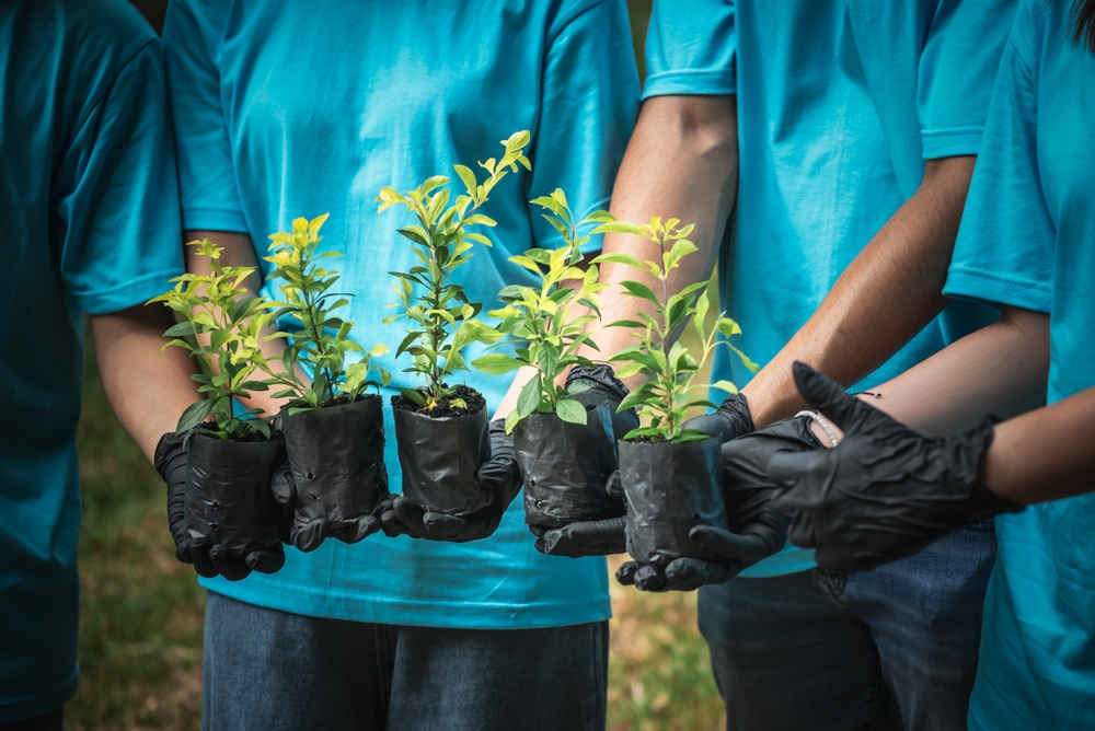 Tree Planting