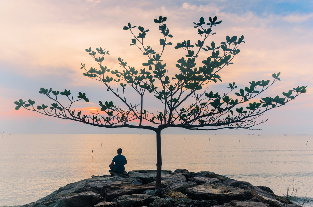 understanding the trees