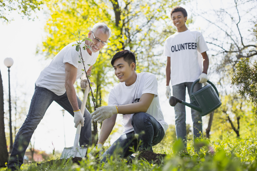 Tree Planting Programs