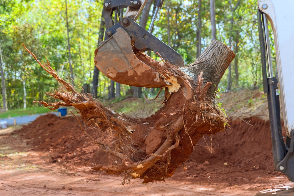 balancing tree preservation