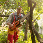 Tree Removal Services for Different Types of Trees