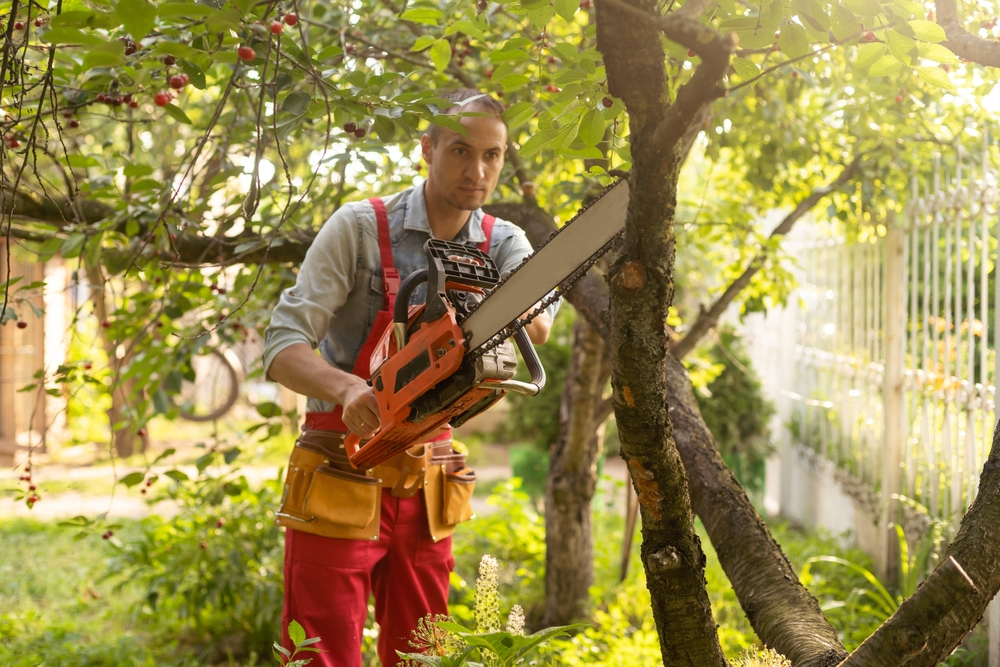 tree trimming