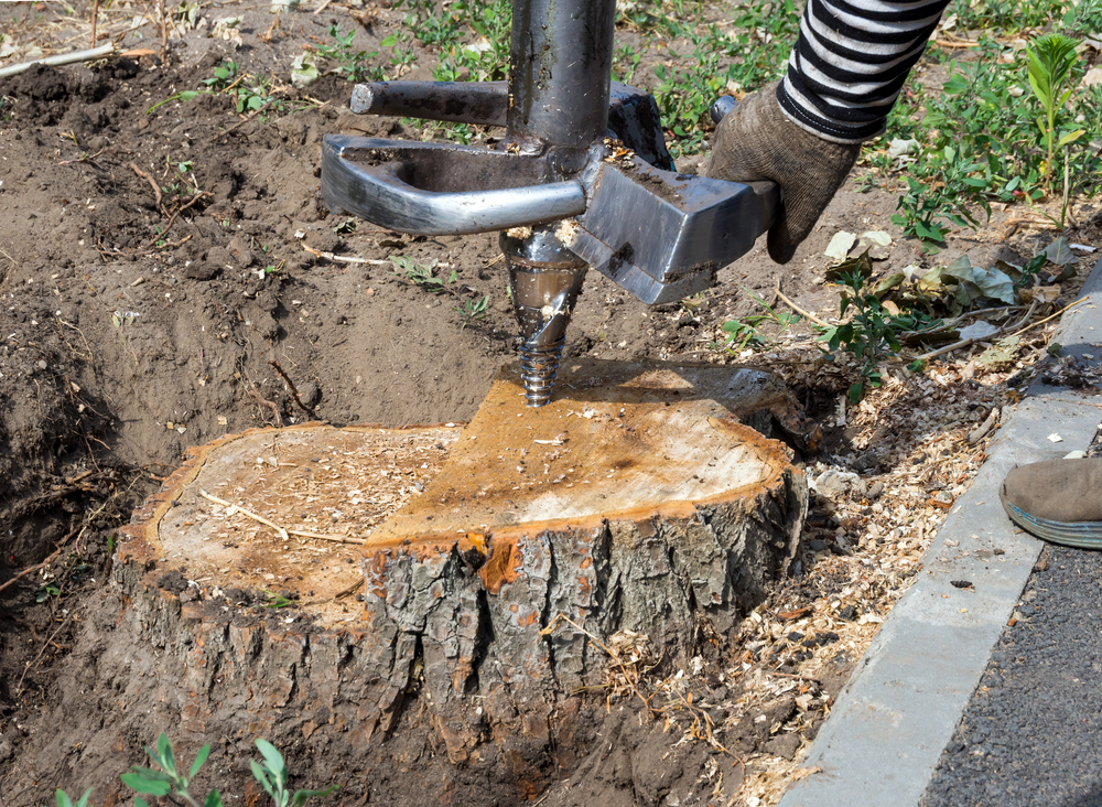 Stump Grinding Service