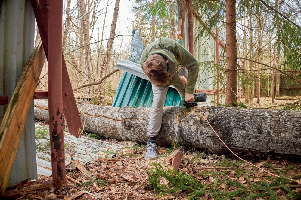 Tree Removal