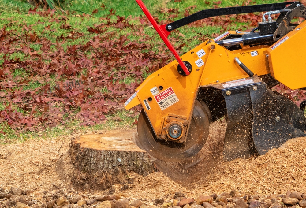 Stump Grinding and Removal