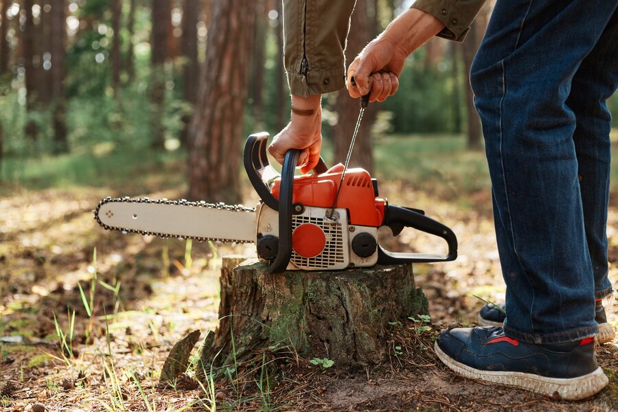 Tree Stump Removal Service