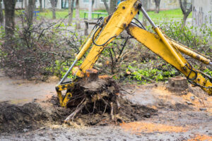 Read more about the article Equipment Used During Tree Removal in Richmond VA