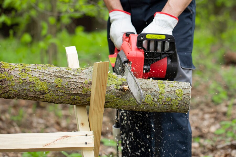 Tree Removal Winchester VA