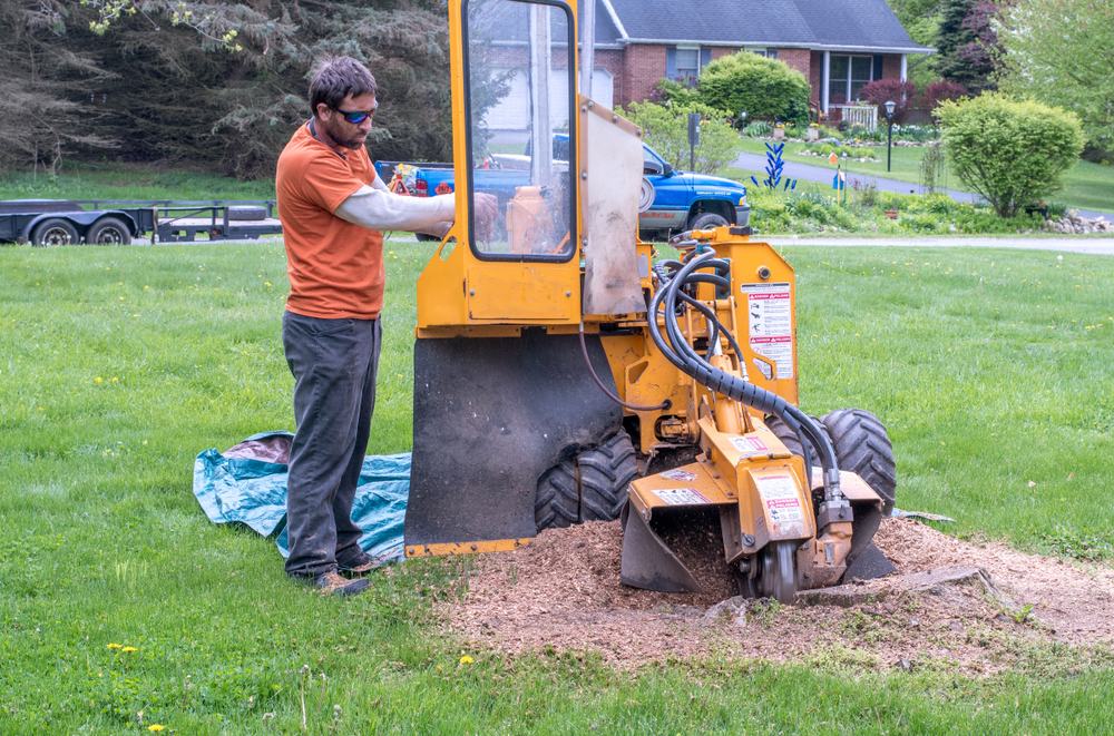 Stump Grinding and Removal