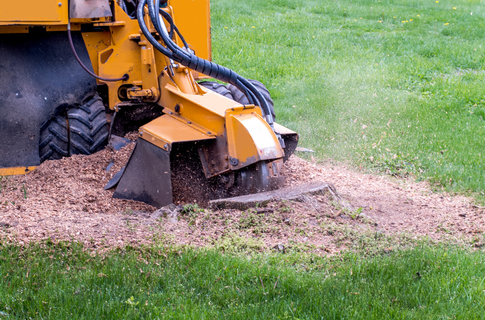 Stump Grinding Machine