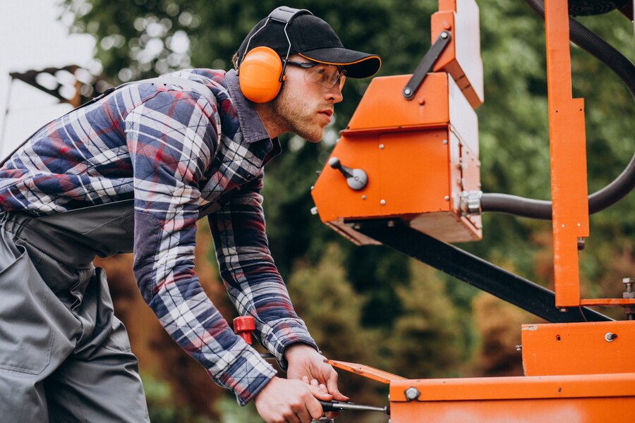 Professional Tree Removal