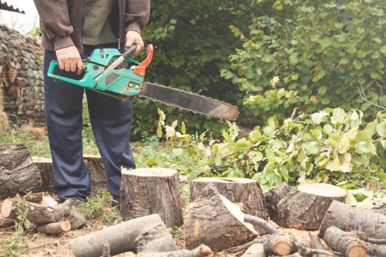 Read more about the article DIY vs. Professional Tree Stump Removal Richmond VA