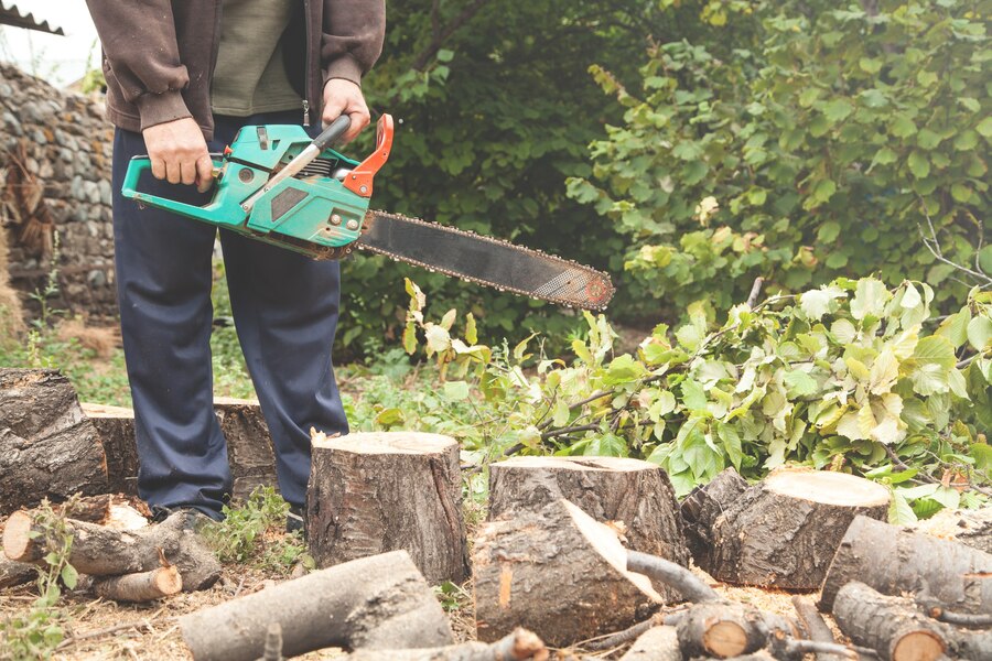 DIY vs. Professional Tree Stump Removal Richmond VA