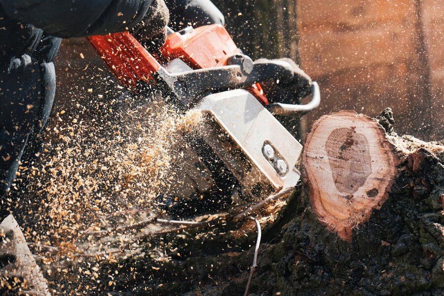 Professional Stump Grinding 